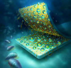 LIFE SCIENCE AND  TECHNOLOGY